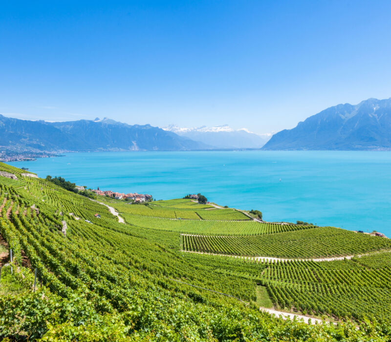247_Concierge_Montreux_Lavaux_vineyards